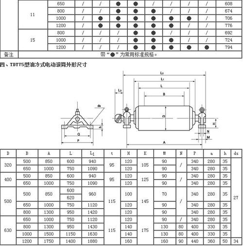 TDY75(YD)型油冷式電動滾筒 博山東源減速機廠的動力核心解析